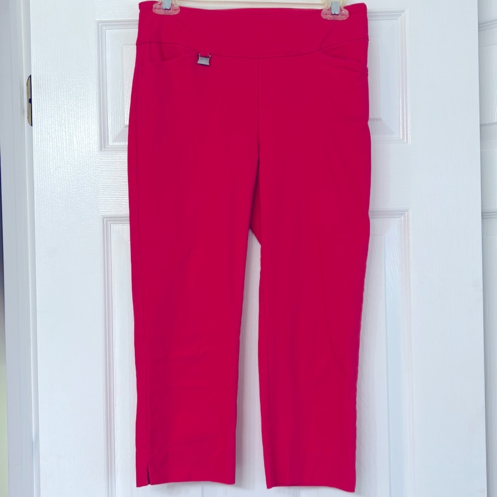 JOSEPH Ribkoff capris